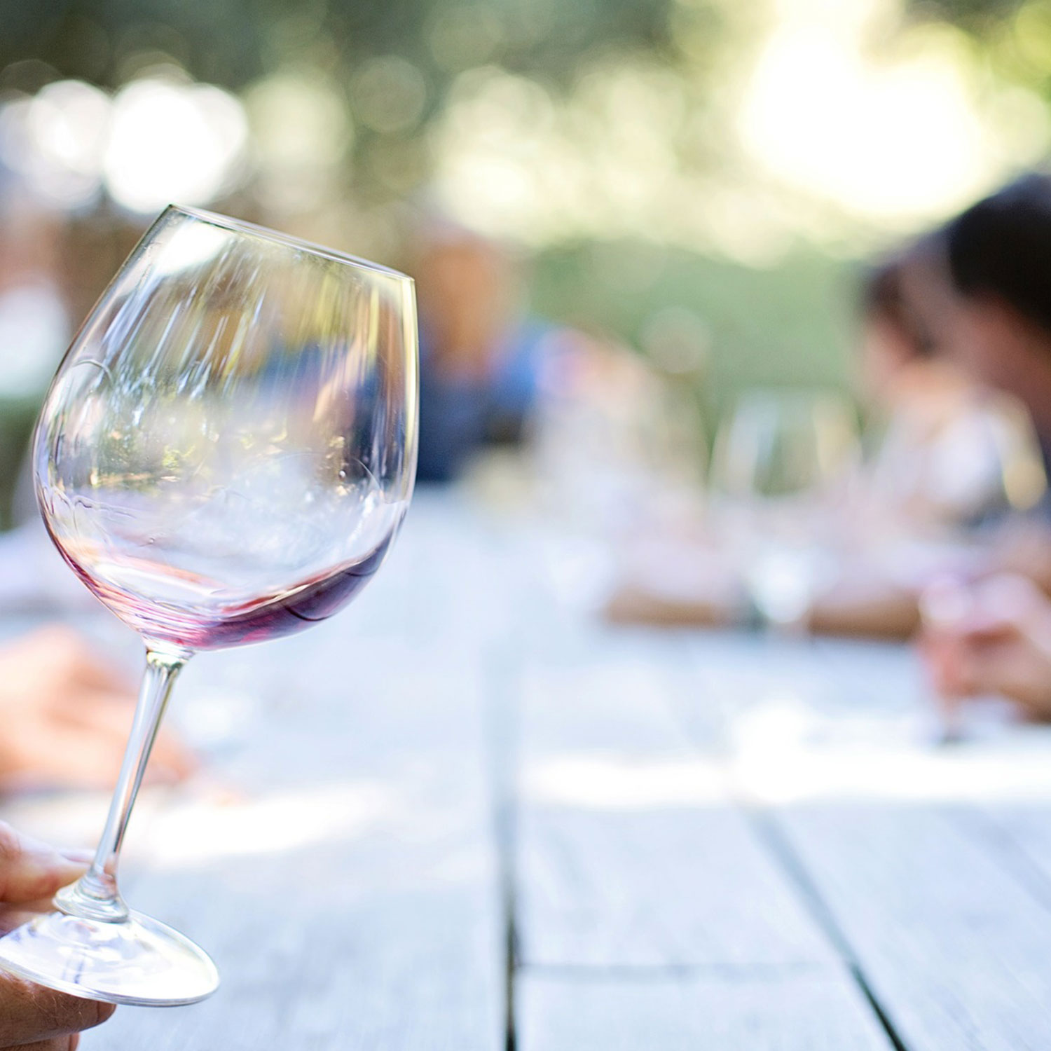 Hand raising a glass of red wine at a sunlit outdoor table.